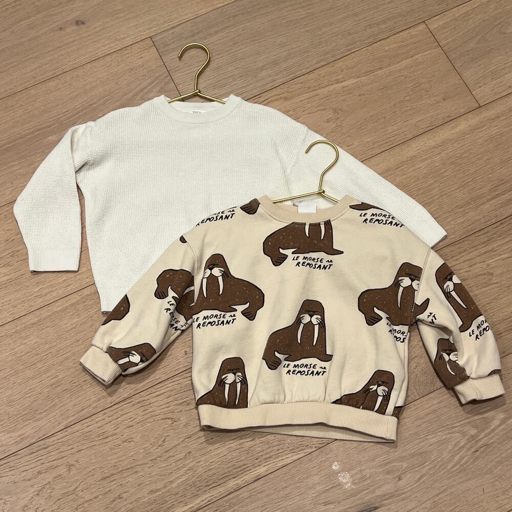 ZARA Little Kids Toddler Walrus Crewneck Sweatshirt & White Knit Sweater 4 Years